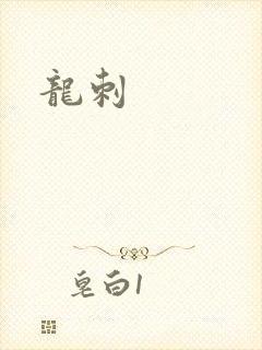 龙刺封面