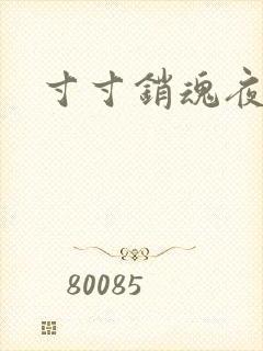 寸寸销魂夜春光