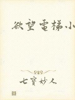 欲望电梯小说