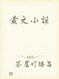 黄文小说封面