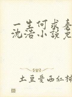 一生何求秦菲雪沈浩小说免费阅读全文笔趣阁封面