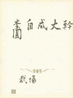 李自成大干陈圆圆封面