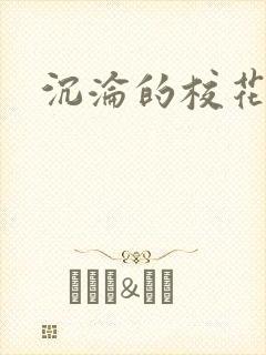 沉沦的校花