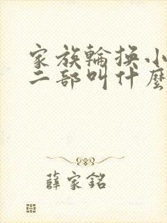 家族轮换小说第二部叫什么名字
