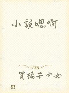 小说嗯啊