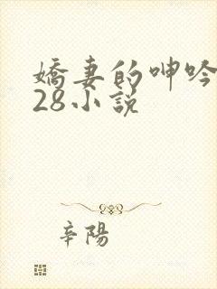 娇妻的呻吟1—28小说