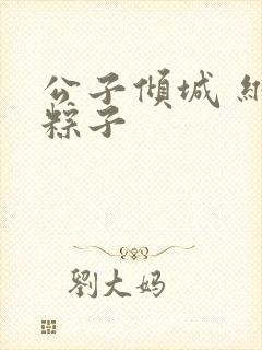 公子倾城 维和粽子