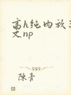 高h纯肉放荡h文np