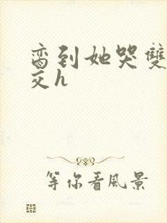 脔到她哭双根宫交h封面
