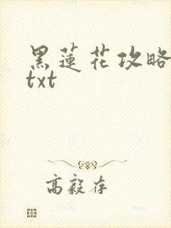 黑莲花攻略手册txt