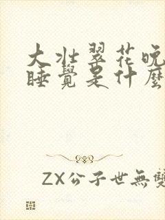 大壮翠花晚上不睡觉是什么电视剧封面