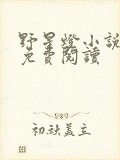 野星灯小说全文免费阅读