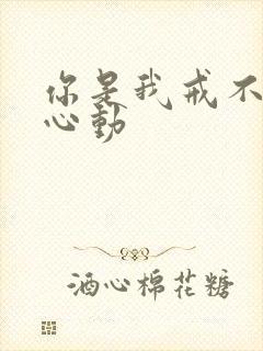 你是我戒不掉的心动