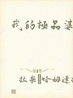 我的极品婆婆封面