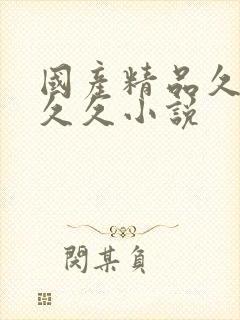 国产精品久久久久久小说