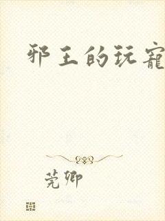 邪王的玩宠
