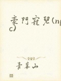 豪门宠儿(npc)