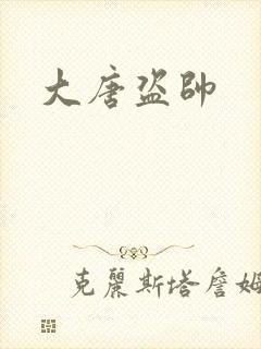 大唐盗帅