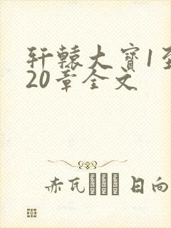 轩辕大宝1至720章全文封面