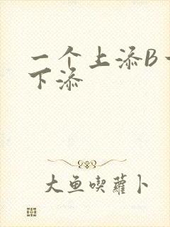 一个上添B一个下添