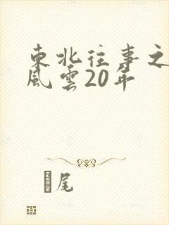 东北往事之黑道风云20年封面