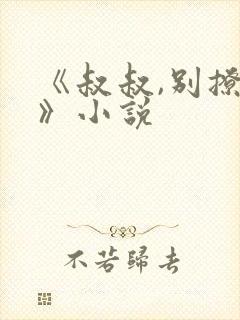 《叔叔,别撩我》小说