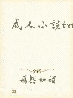 成人小说txt封面