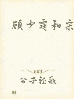 顾少霆和宋斯曼