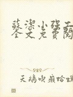 苏洁小强工地情全文免费阅读封面