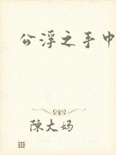 公浮之手中字5