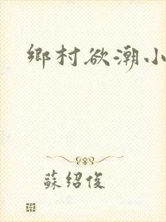 乡村欲潮小说