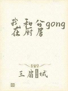 我和公gong在厨房
