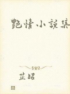 艳情小说集封面