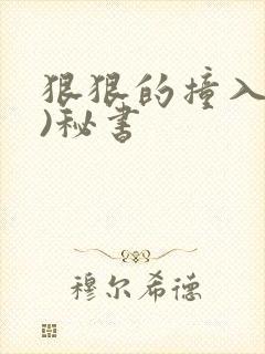 狠狠的撞入(h)秘书