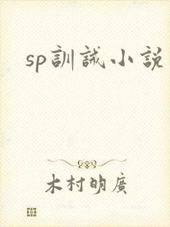 sp训诫小说