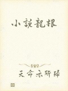 小说龙根