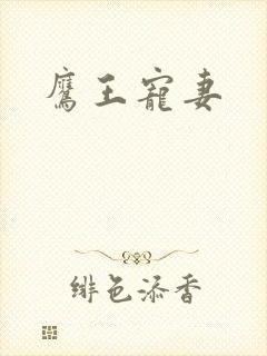鹰王宠妻
