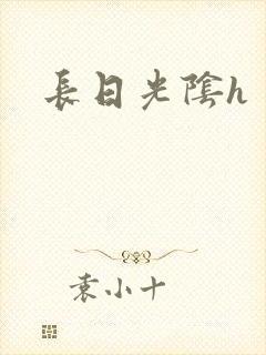 长日光阴h封面