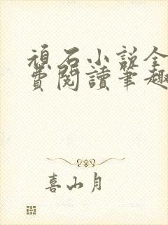 顽石小说全文免费阅读笔趣阁