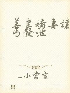 善良娇妻让老乞丐发泄封面