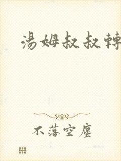 汤姆叔叔转接口
