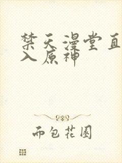 禁天漫堂直接进入原神