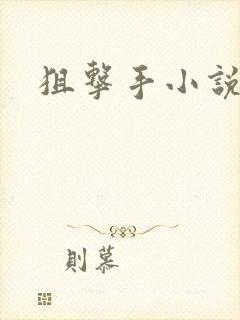 狙击手小说封面