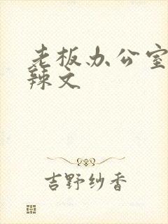 老板办公室系列辣文