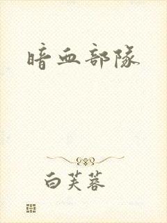 暗血部队封面