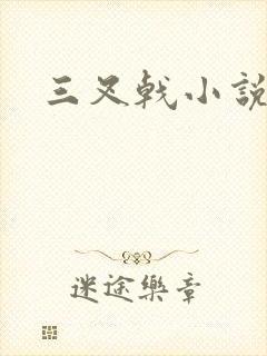 三叉戟小说封面