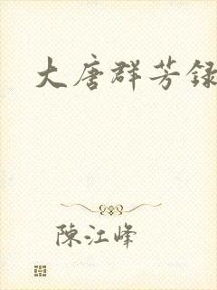 大唐群芳录封面