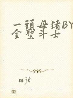 一头母猪BY黄金圣斗士