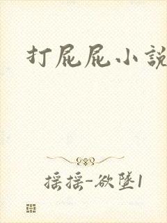 打屁屁小说