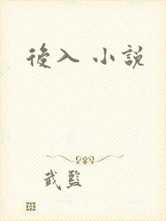后入 小说